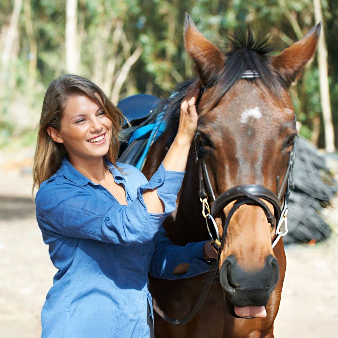 Studera Affärsmässighet och hållbarhet i hästnäringen | YH Kurs | Yrkeshögskola | Iris.se