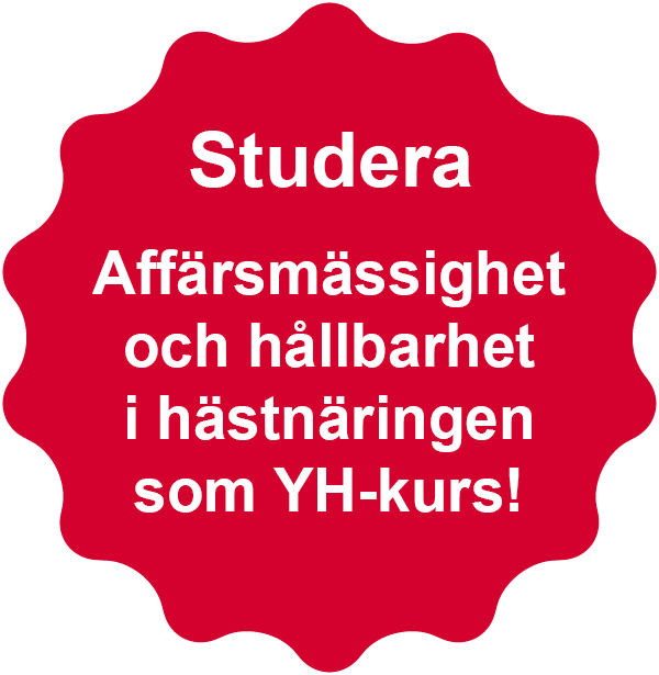 Studera Affärsmässighet och hållbarhet i hästnäringen | YH Kurs | Yrkeshögskola | Iris.se