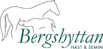 Bergshyttan Häst & Semin