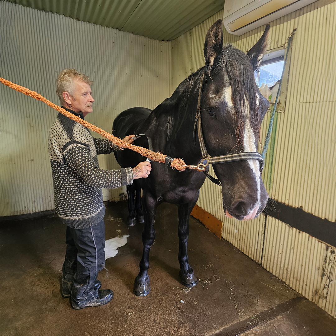 Kunskap som gör skillnad – Säkerhet och arbetsmiljö i hästnäringen med Anneli Jonsson och hennes resa mot ett säkrare stall! | Iris YH |